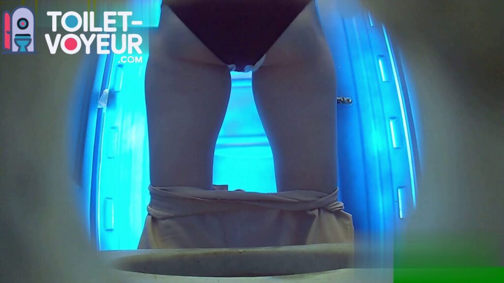 Portable beach toilet #4