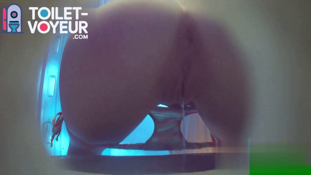 Portable beach toilet #32