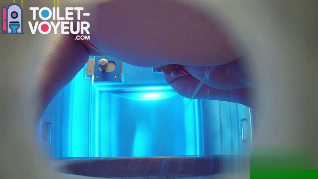 Portable beach toilet #34