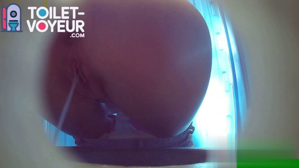 Portable beach toilet #40