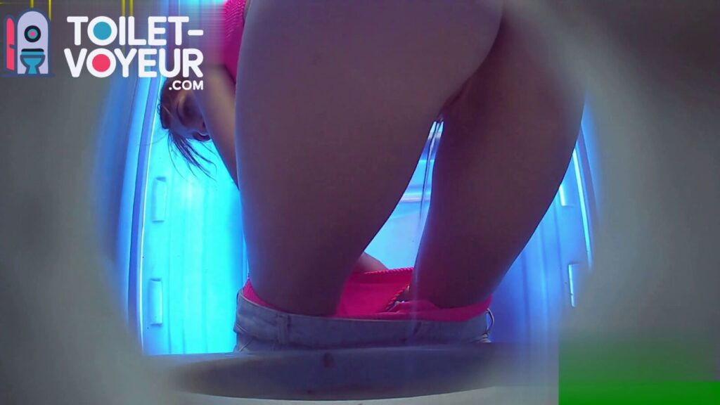 Portable beach toilet #44