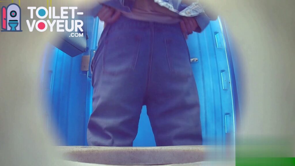 Portable beach toilet #64