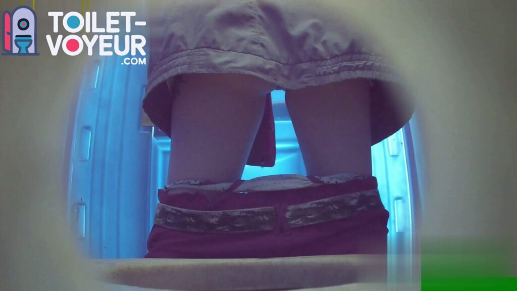 Portable beach toilet #70