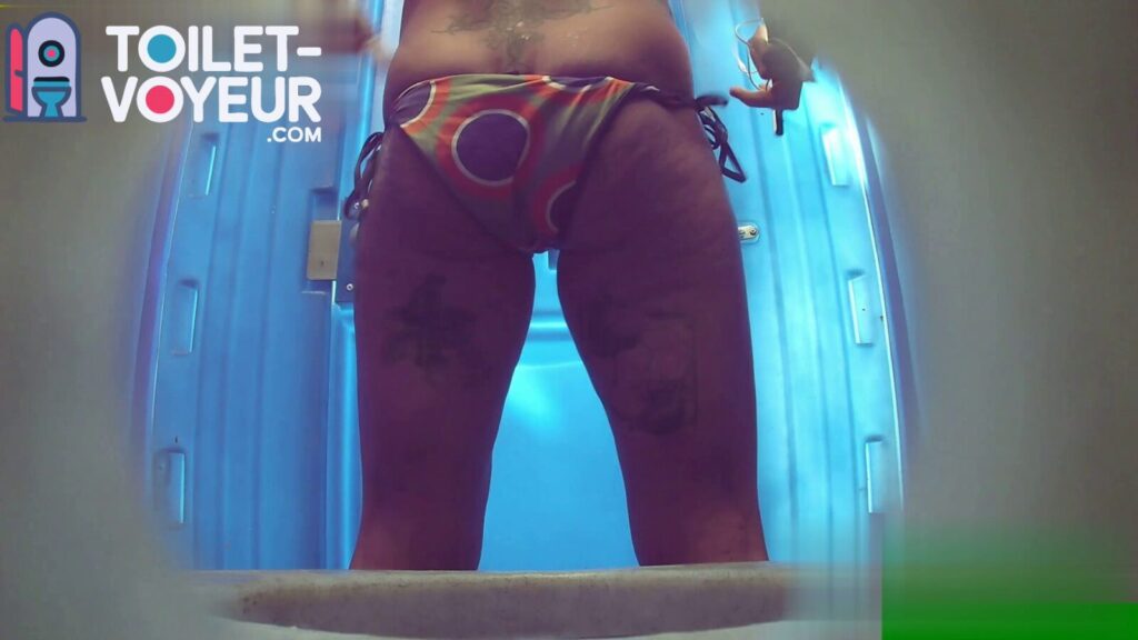 Portable beach toilet #86