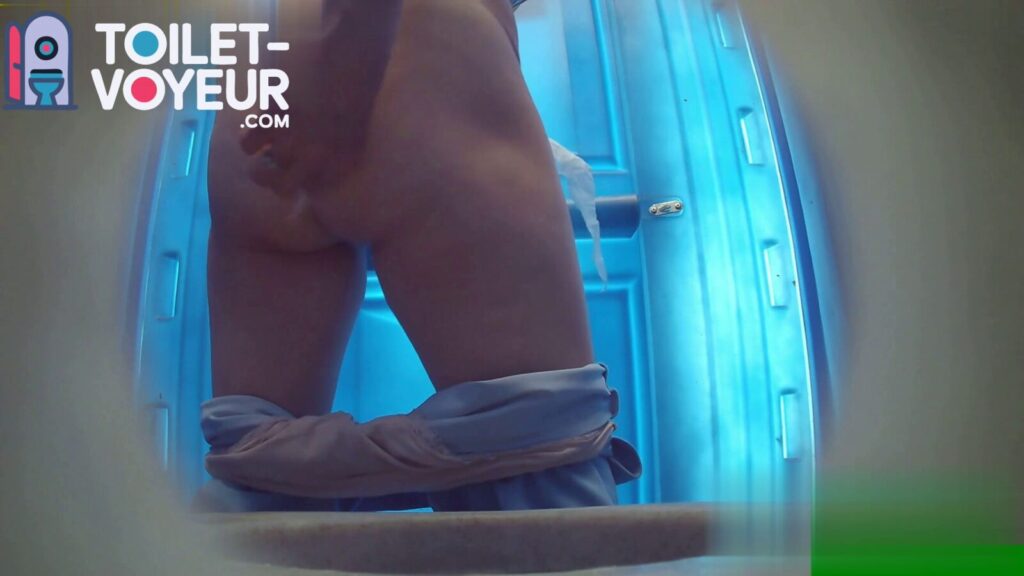 Portable beach toilet #89