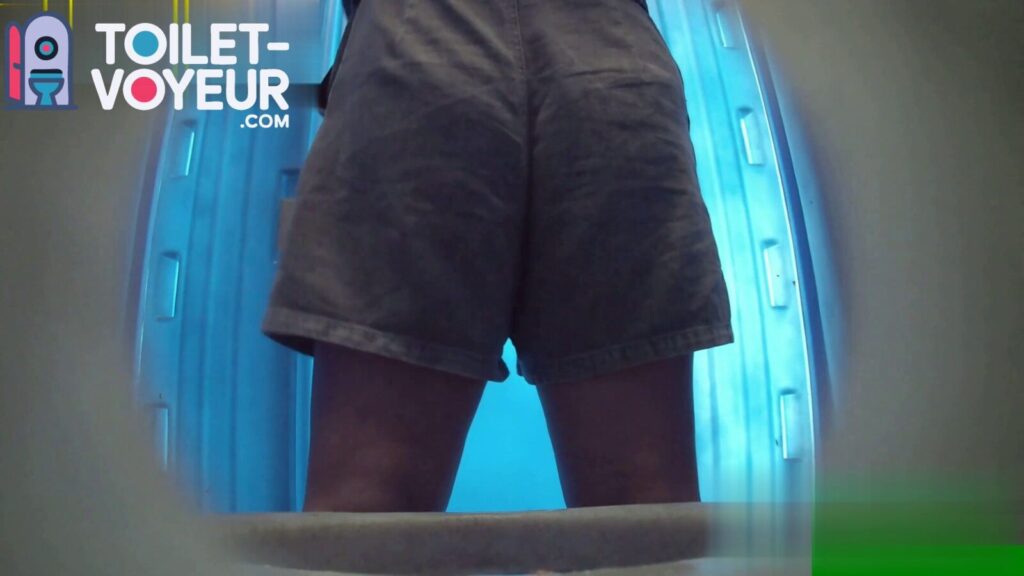 Portable beach toilet #90