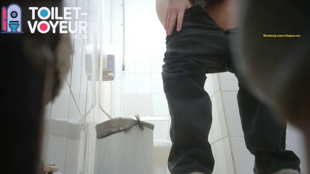 Shopping center toilet #3