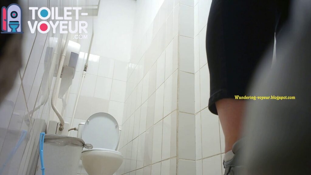 Shopping center toilet #25