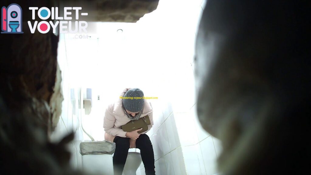 Shopping center toilet #67