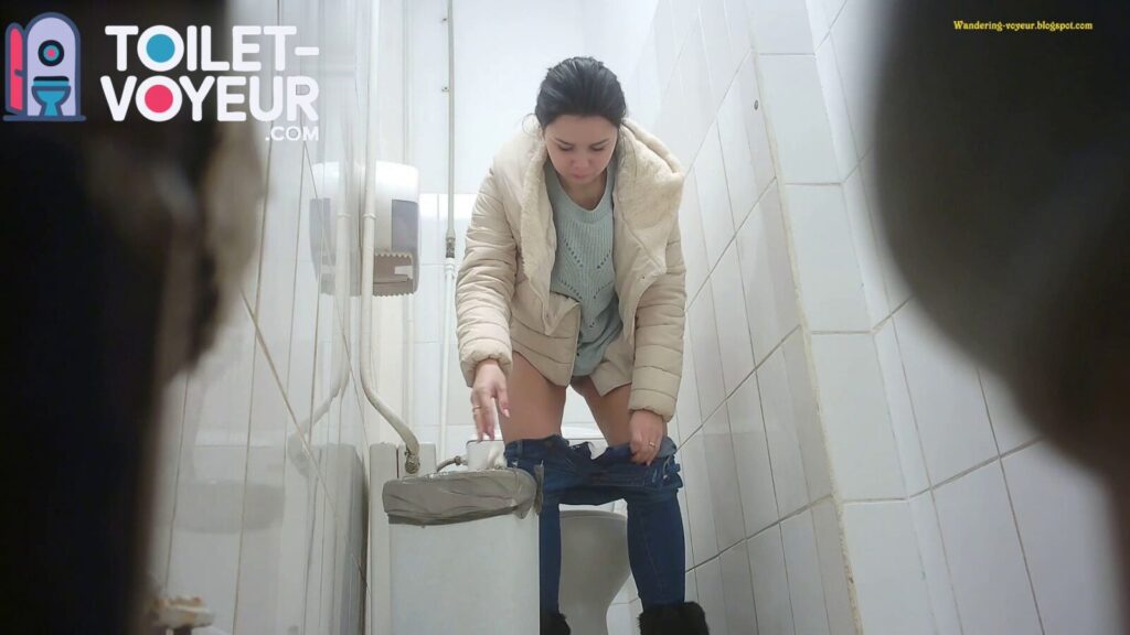 Shopping center toilet #87