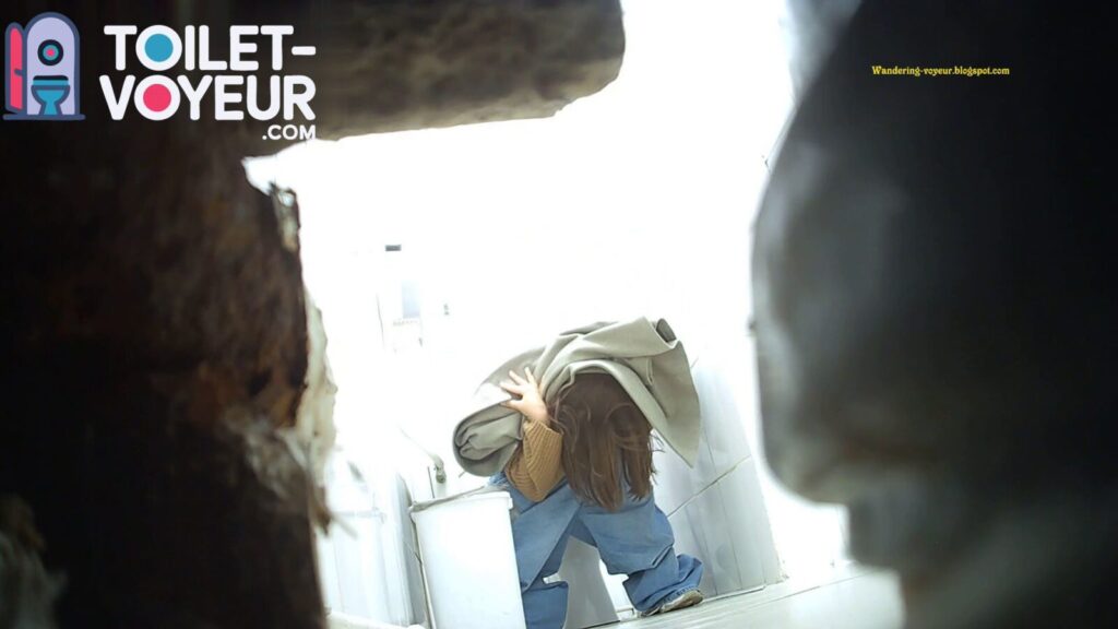 Shopping center toilet #99