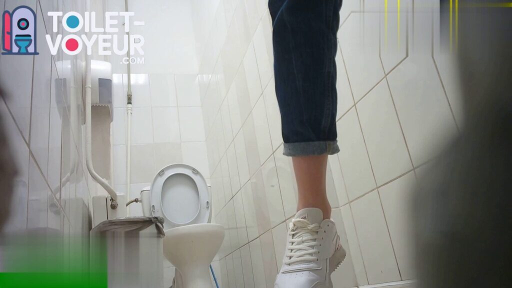 Shopping center toilet #101