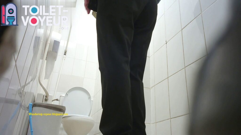 Shopping center toilet #104