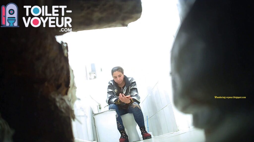 Shopping center toilet #110